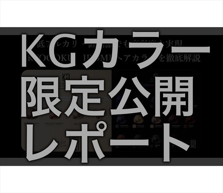 KGカラー 限定公開レポート
