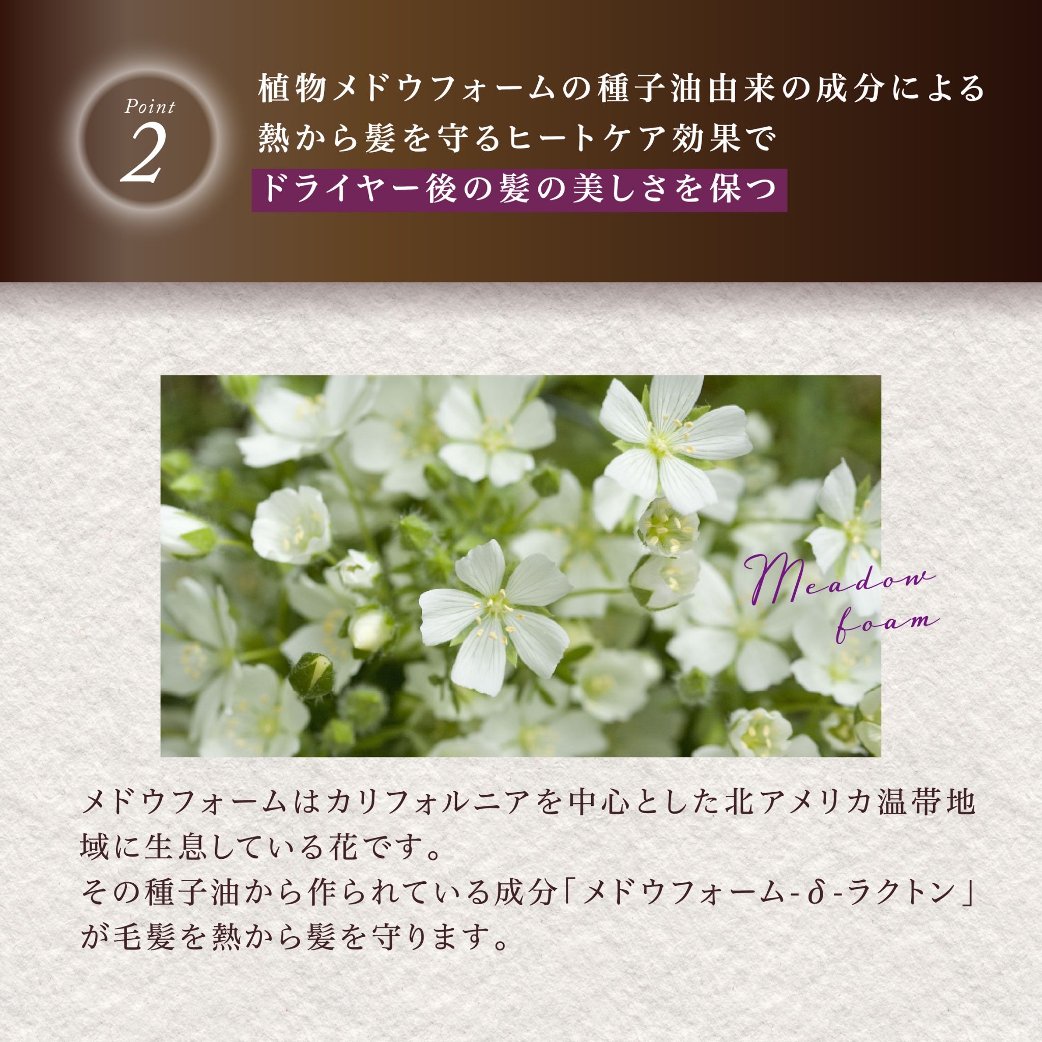 KYOGOKUシグネチャーオイル 48ml 洗い流さないトリートメント ジェル美容液 アルガンオイル配合 天然植物オイル ヘアオイル