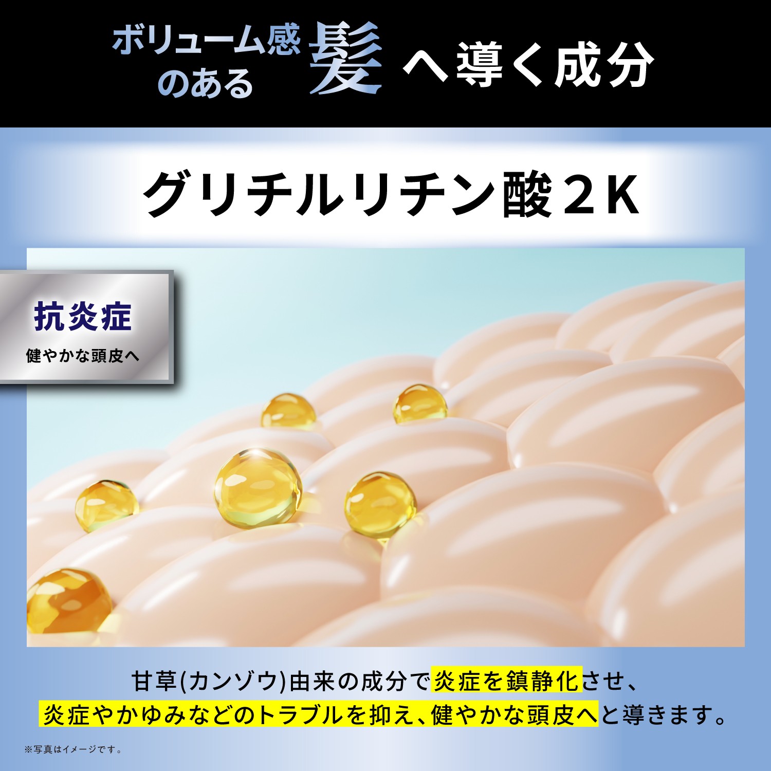 KYOGOKUレ スキャルプセラムシャンプー 185ml 頭皮ケアシャンプー