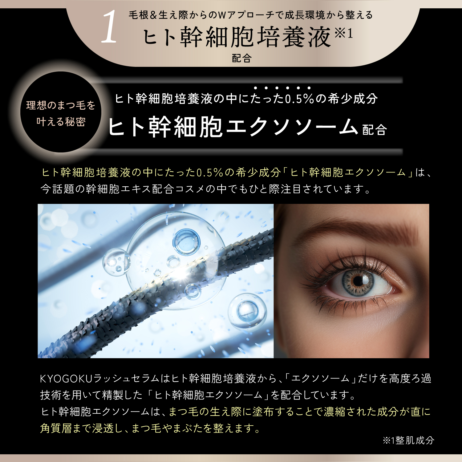 KYOGOKU ラッシュセラム まつ毛美容液 まつげ美容液 2.5ml