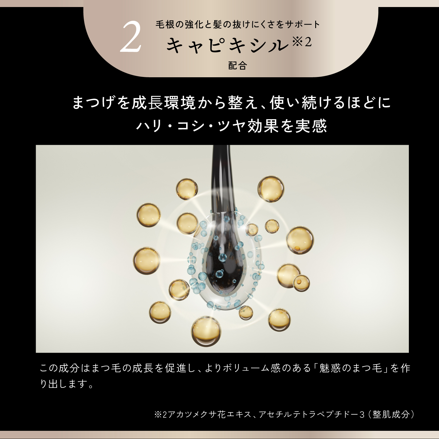 KYOGOKU ラッシュセラム まつ毛美容液 まつげ美容液 2.5ml