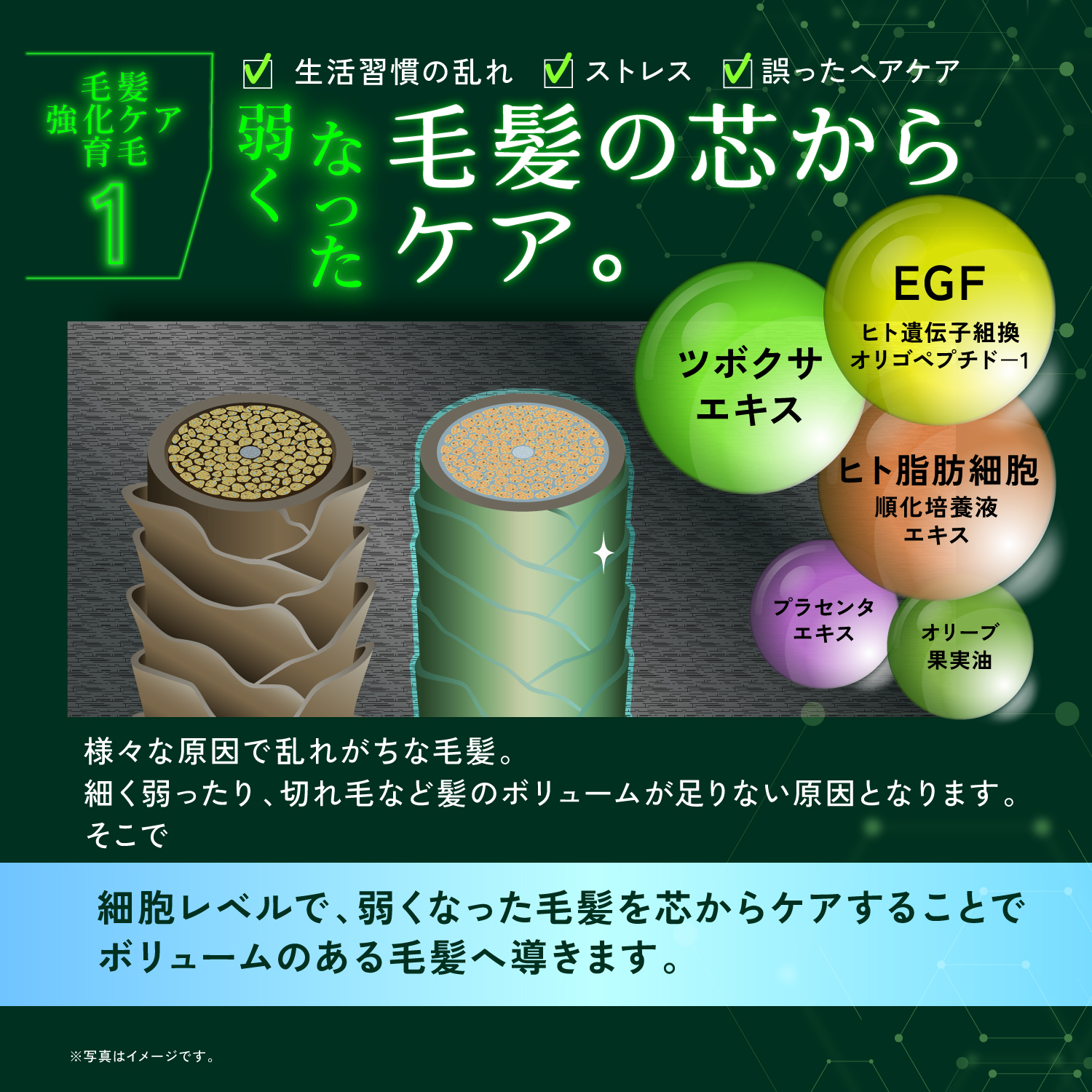 KYOGOKU ネイチャーブースター+トリートメント