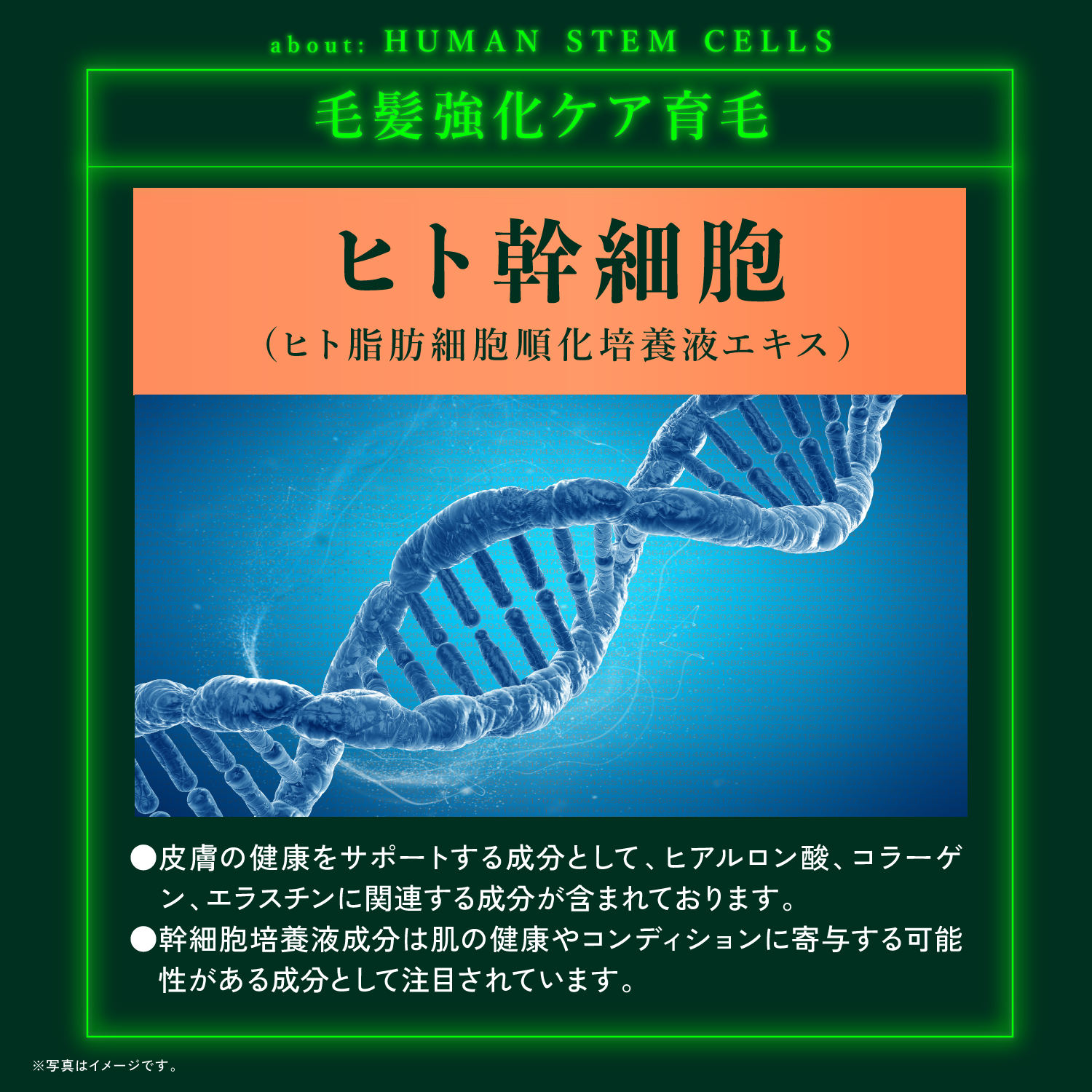 KYOGOKU ネイチャーブースター+トリートメント