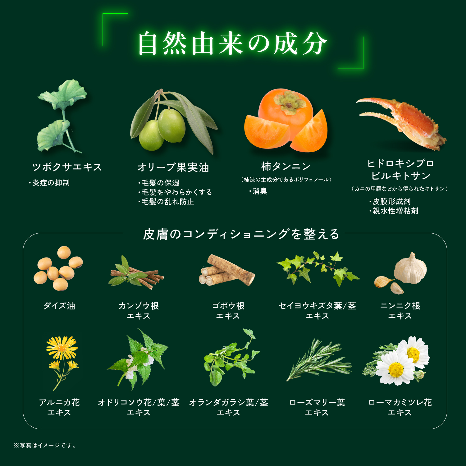 KYOGOKU ネイチャーブースター+トリートメント