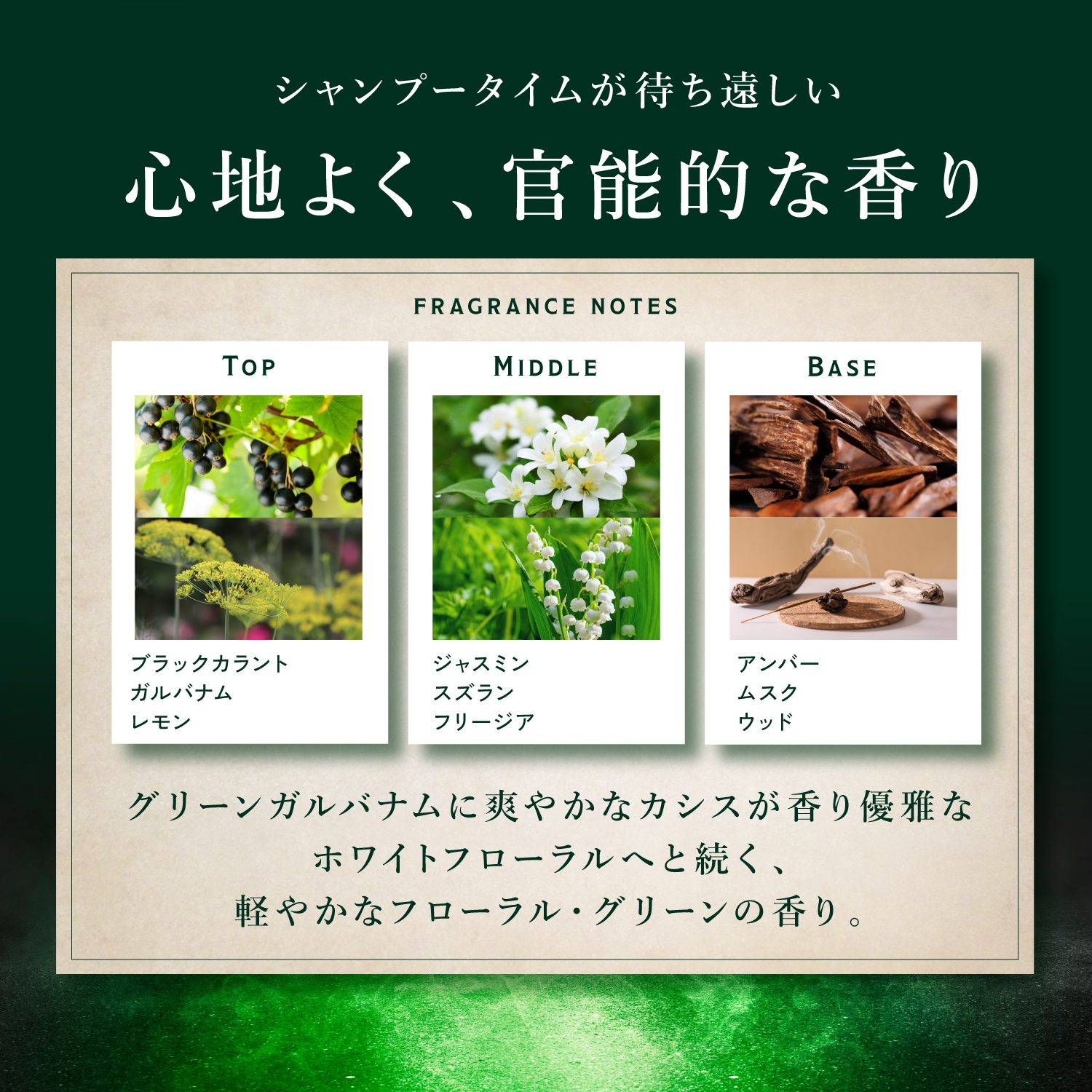 KYOGOKU ネイチャーブースター+トリートメント