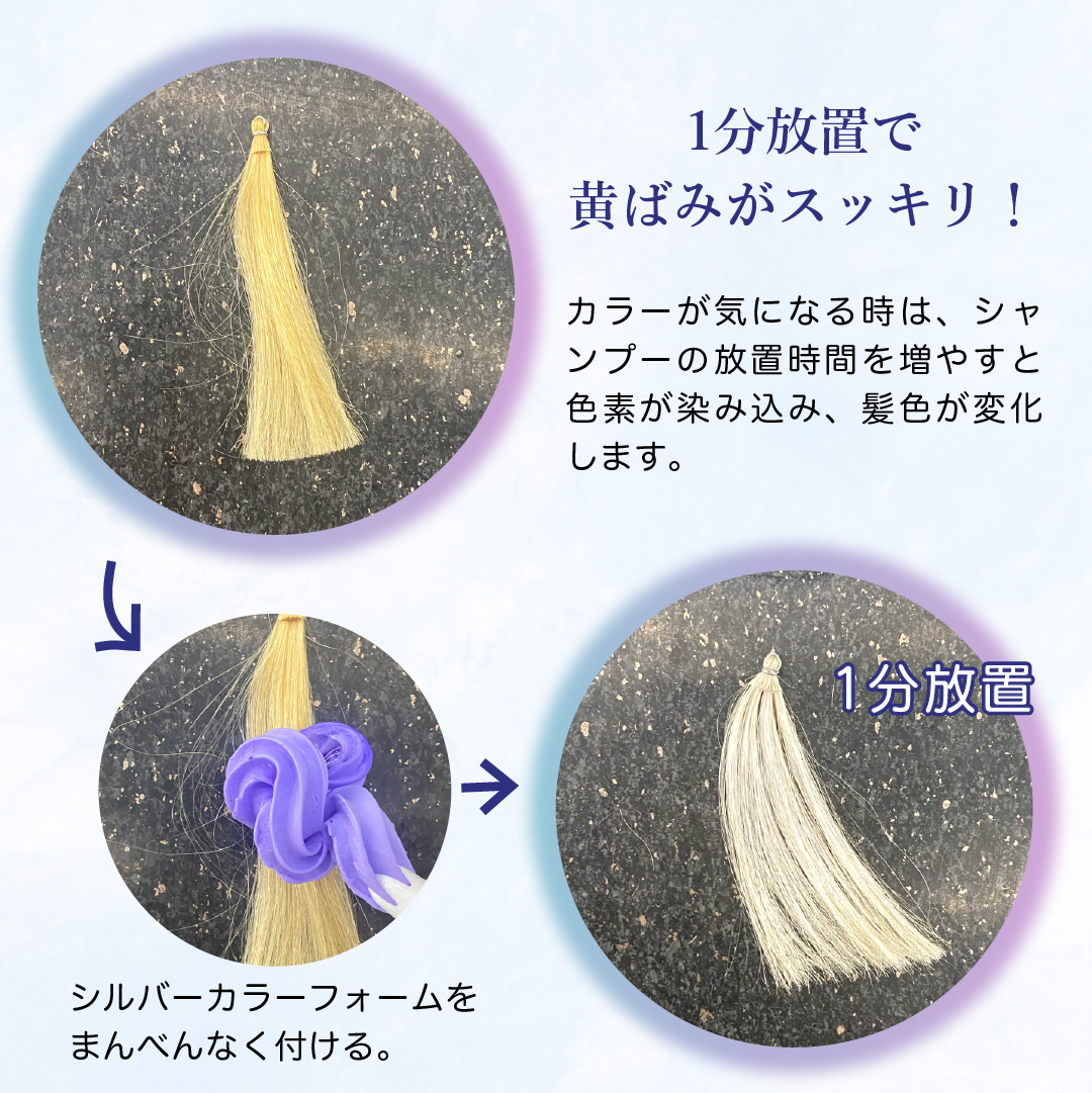 KYOGOKU シルバーカラーフォームコンディショナー 200g 炭酸 濃度10,000ppm カラーシャンプー カラートリートメント 人気ランキング ダメージケア (シルバー)
