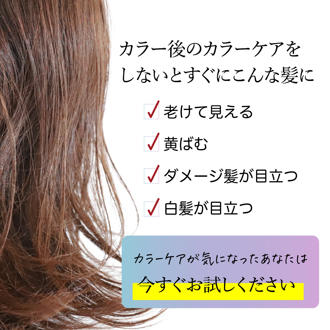 KYOGOKU シルバーカラーフォームコンディショナー 200g 炭酸 濃度10,000ppm カラーシャンプー カラートリートメント 人気ランキング ダメージケア (シルバー)