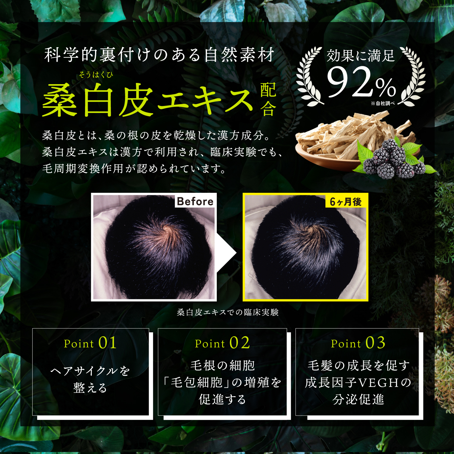 KYOGOKU ネイチャーブースター 育毛剤 医薬部外品 ヘアトニック 薬用育毛トニック 男女兼用 無添加 抜け毛予防