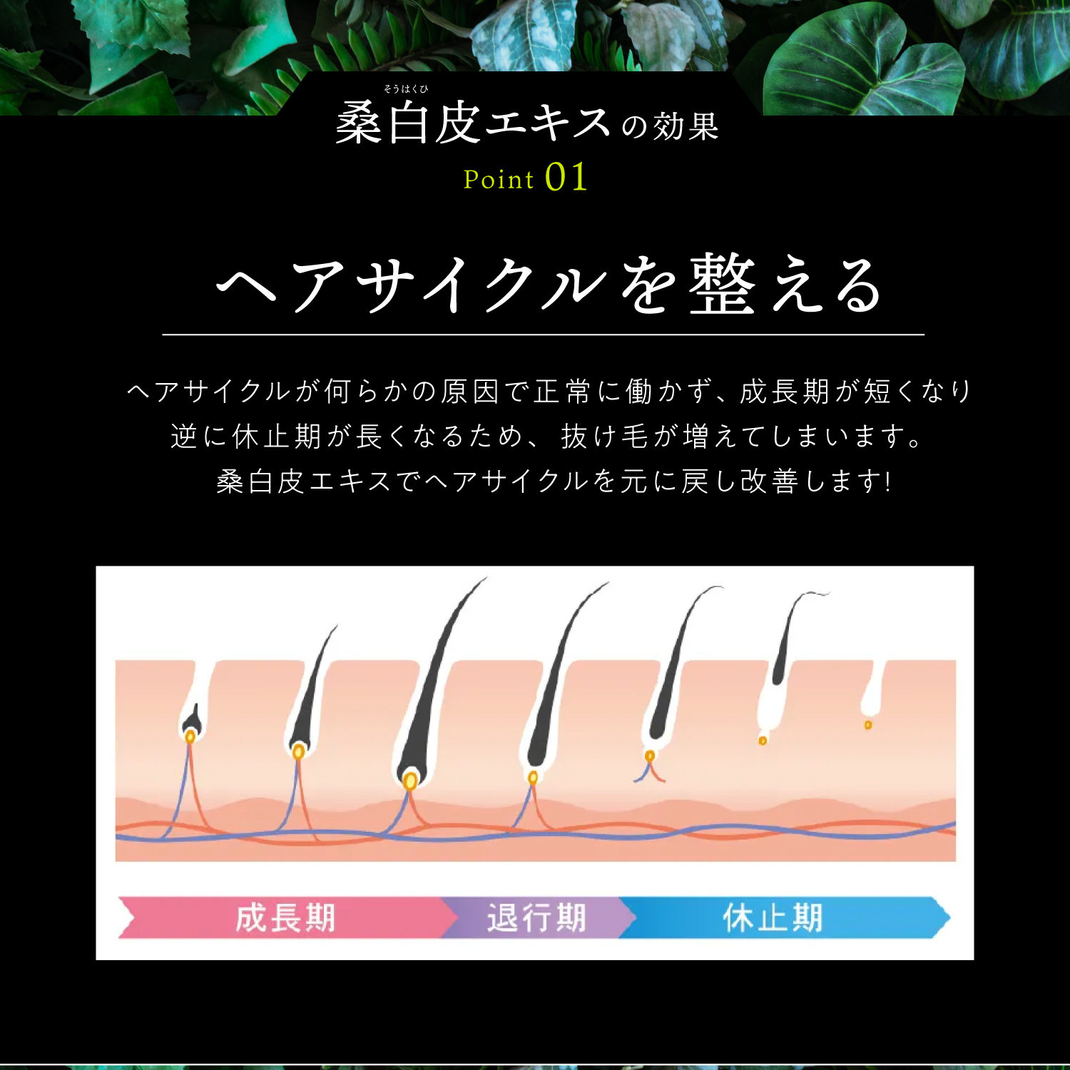 KYOGOKU ネイチャーブースター 育毛剤 医薬部外品 ヘアトニック 薬用育毛トニック 男女兼用 無添加 抜け毛予防