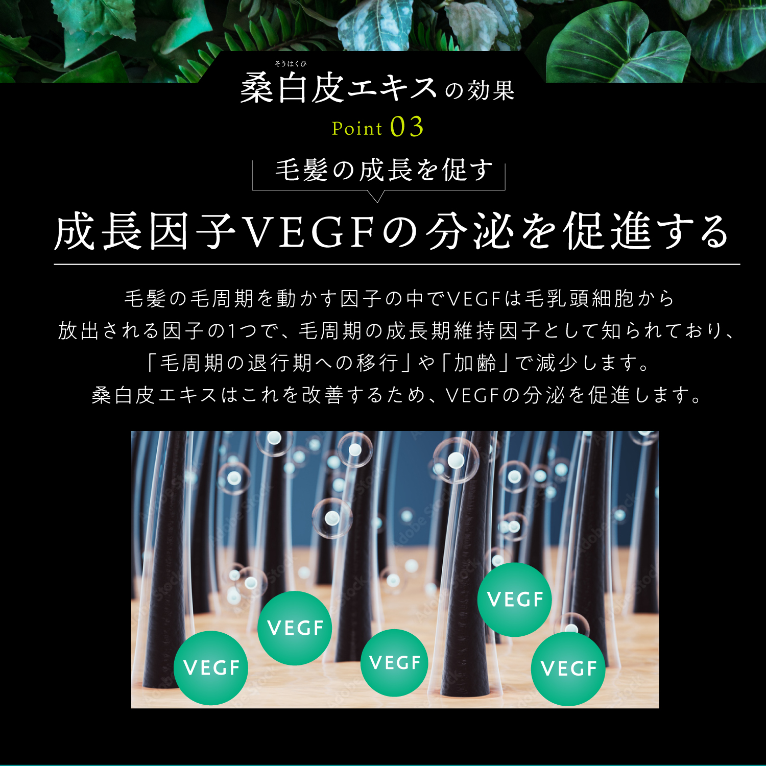 KYOGOKU ネイチャーブースター 育毛剤 医薬部外品 ヘアトニック 薬用育毛トニック 男女兼用 無添加 抜け毛予防