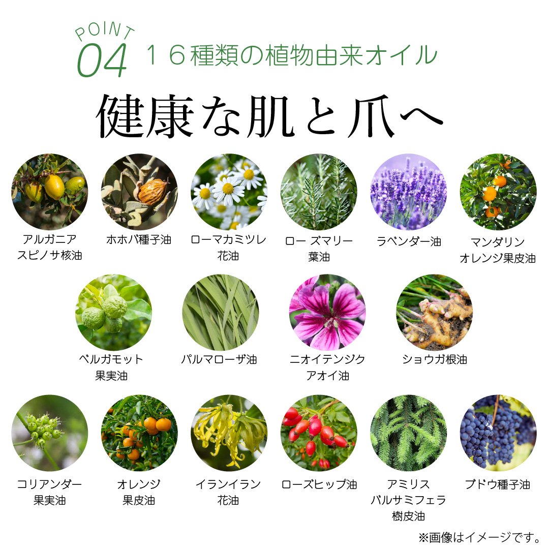 CBD ハンドクリーム