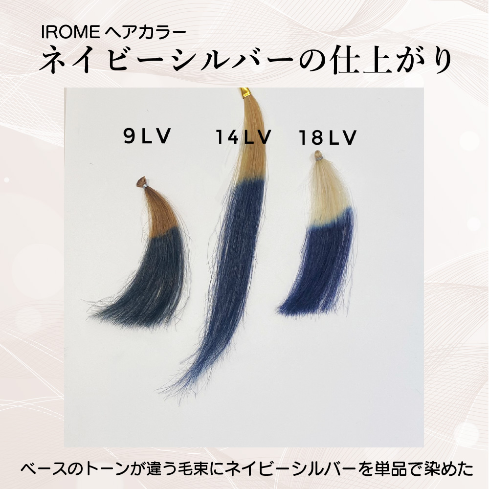 KYOGOKU IROME ネイビーシルバー Silver Collection 80g イロミー ヘアカラー ブリーチオンカラー 医薬部外品 1剤 ハイトーン おしゃれ染め