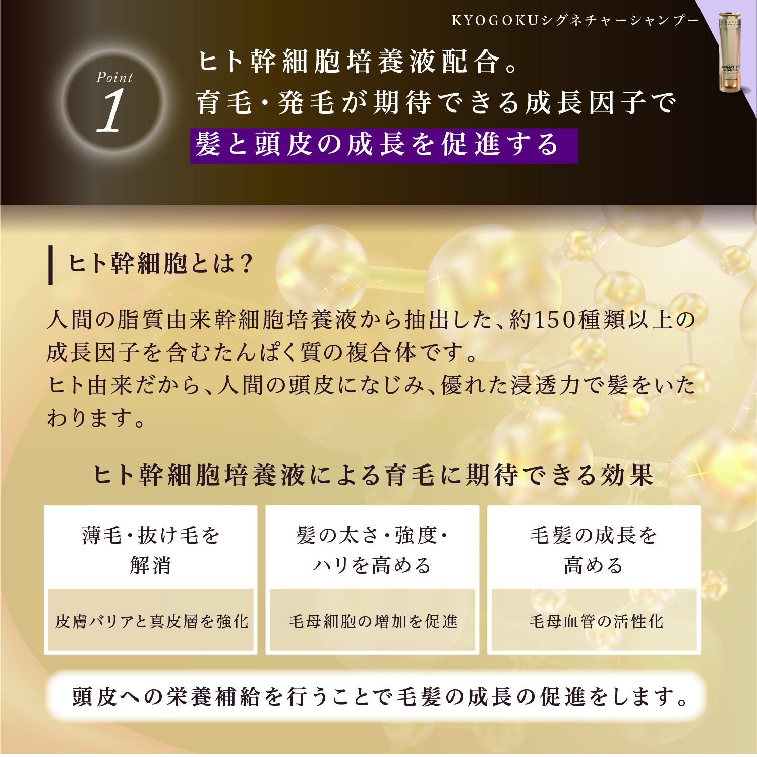 KYOGOKUシグネチャーシャンプー&トリートメント 各120ml