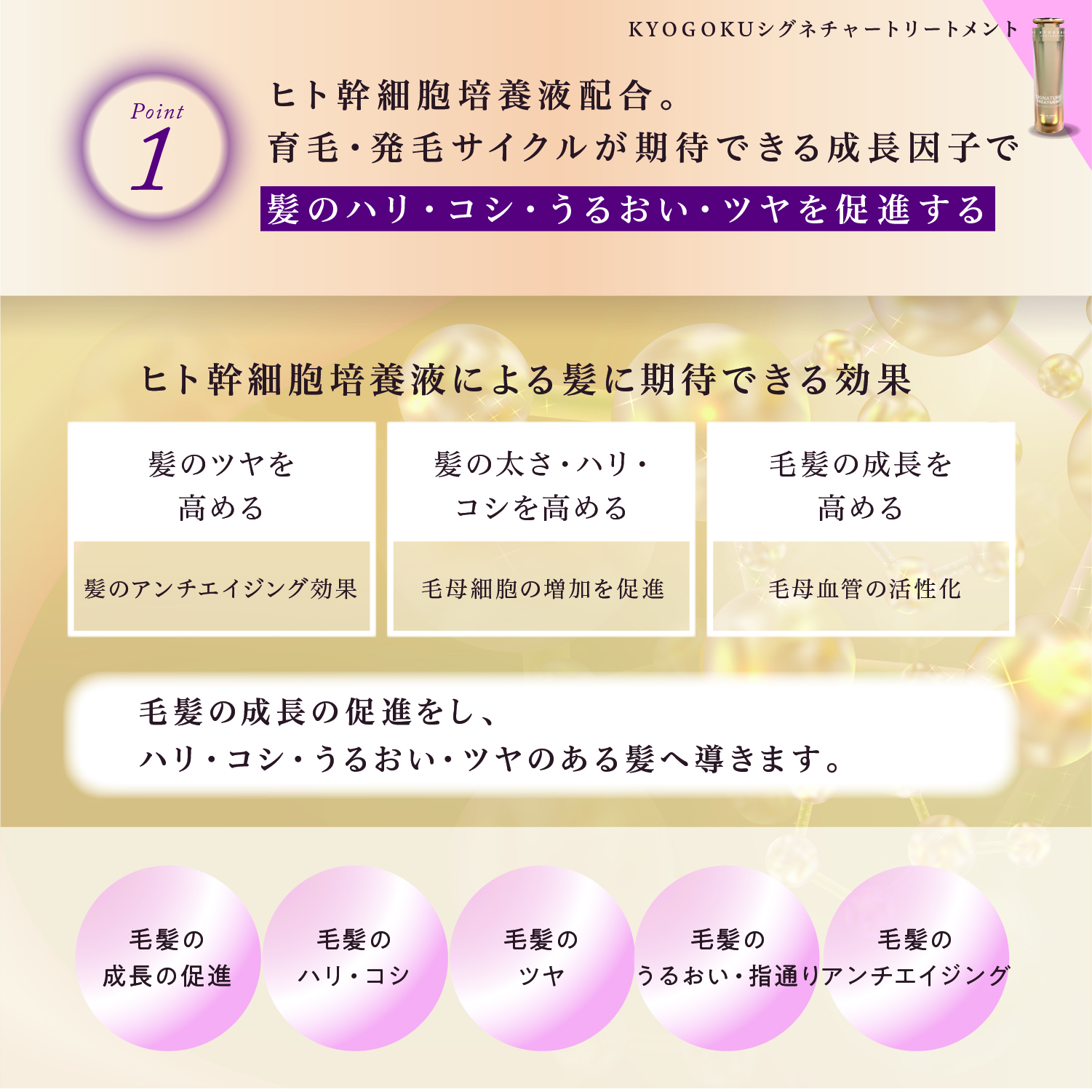 KYOGOKUシグネチャーシャンプー&トリートメント 各120ml