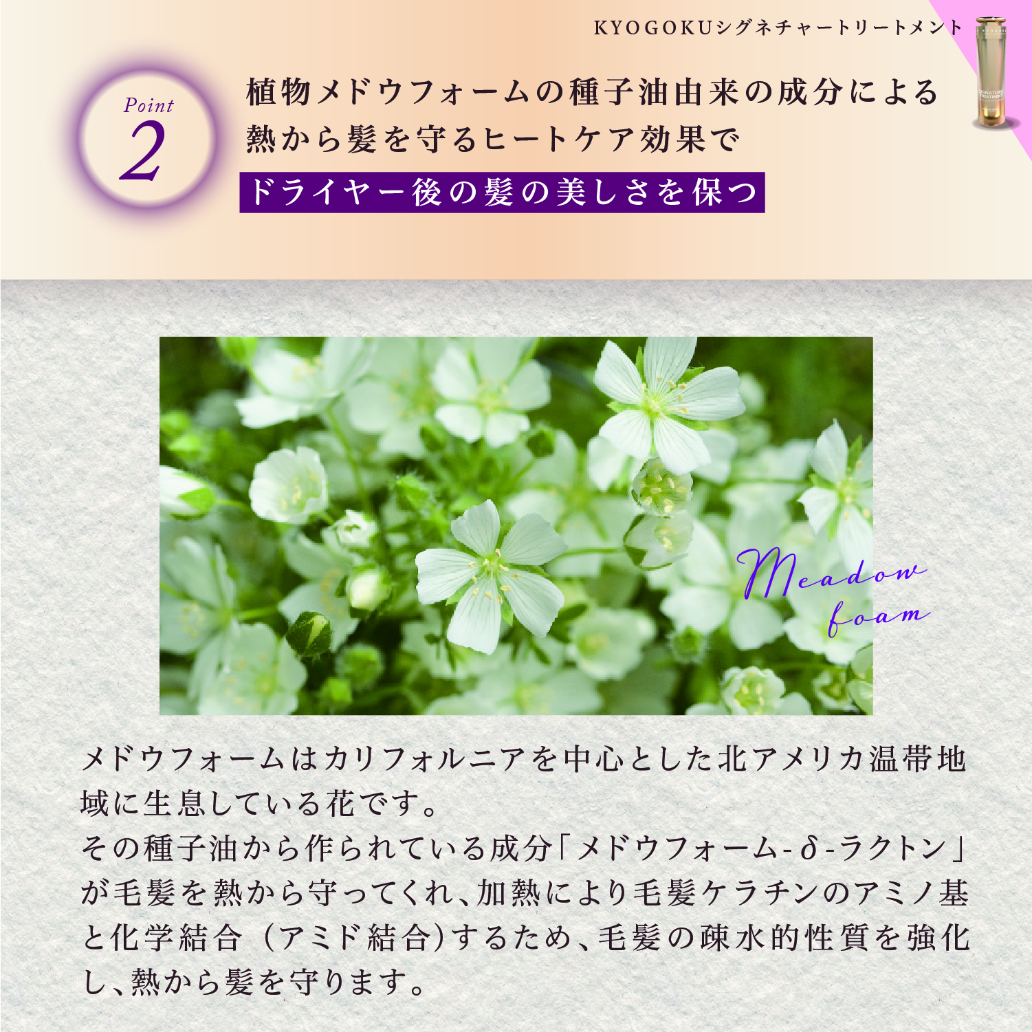 KYOGOKUシグネチャーシャンプー&トリートメント 各120ml