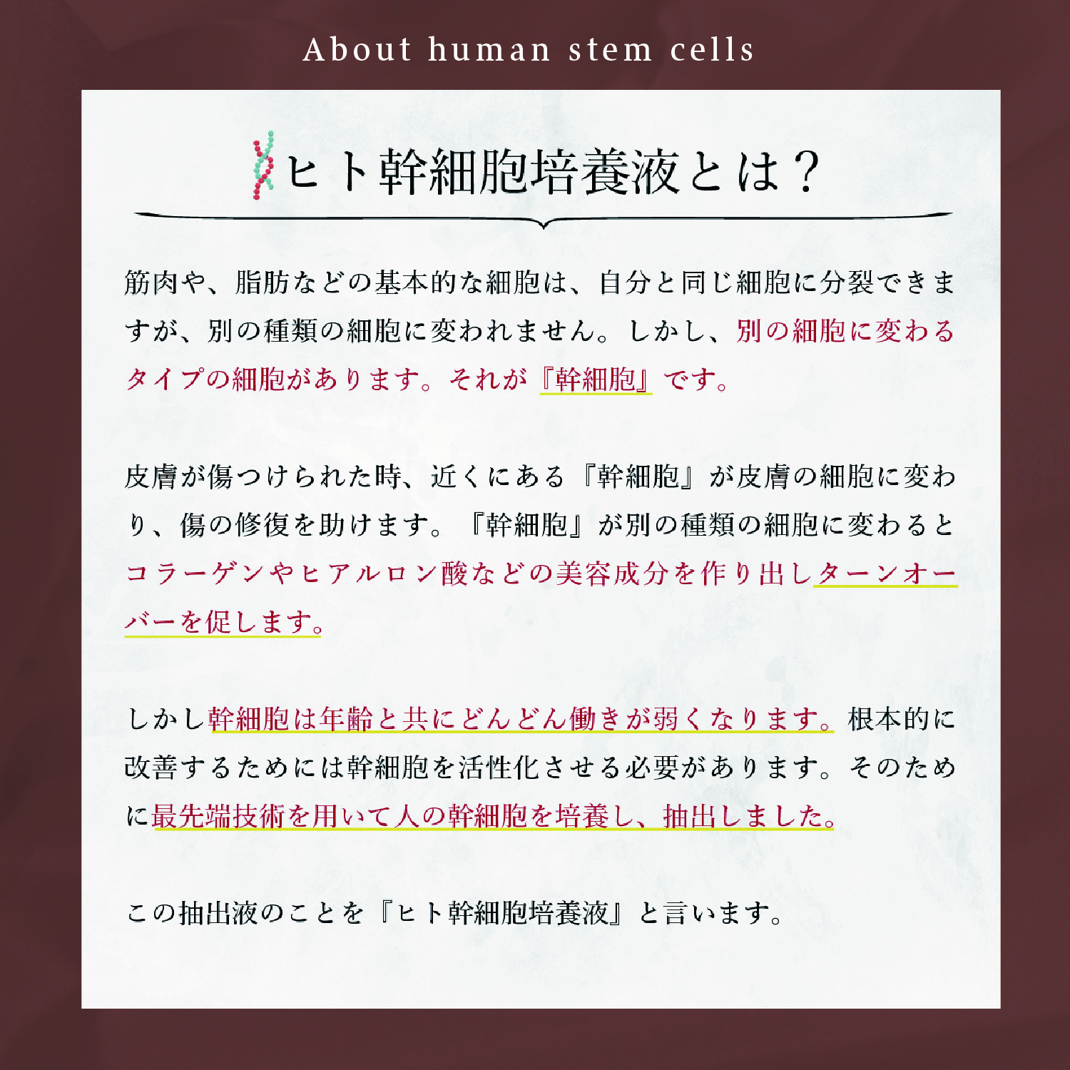 KYOGOKUシグネチャーシャンプー&トリートメント 各120ml