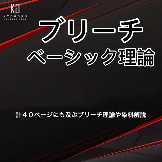 ブリーチベーシック理論