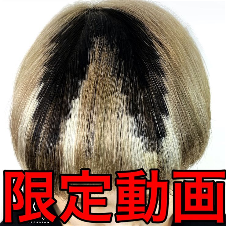 Roots Pixel 特別編