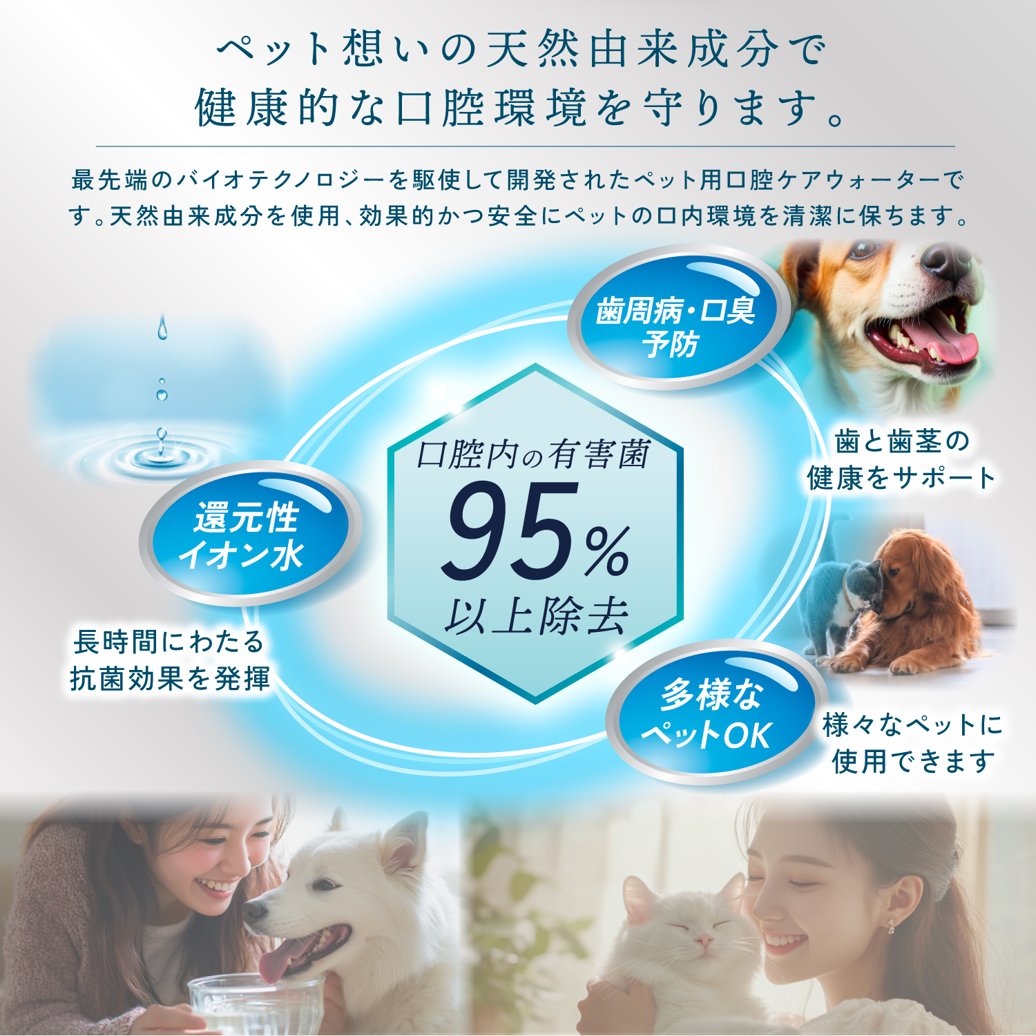 KYOGOKU ペット 口腔ケアウォーター 犬用 猫用 液体歯磨き デンタルケア 歯石取り 歯垢除去 口臭ケア 飲み水にまぜるだけ