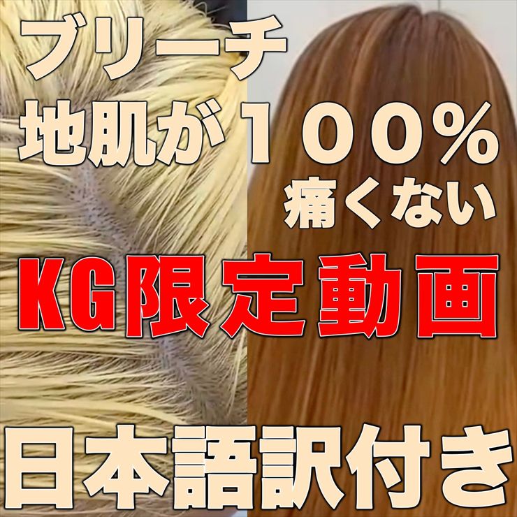 ダブルカラー  ブリーチ編 日本限定販売